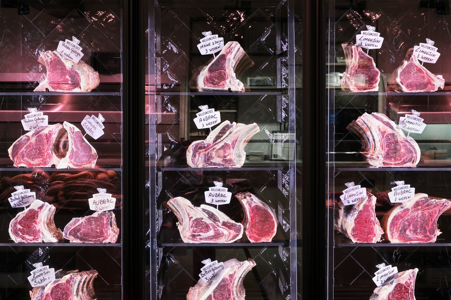 Millevaches, Antwerpen | BÄRO-Referenz