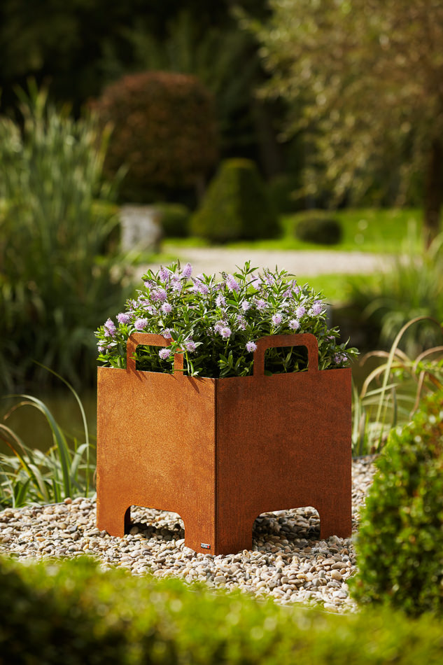 FLORA / Shooting 2011 Kempen