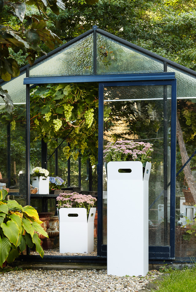 FLORA / Shooting 2011 Kempen