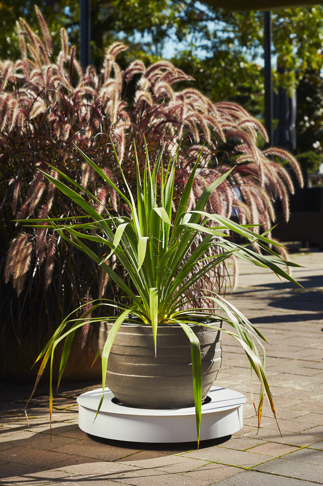 FLORA / Shooting 2011 Hamburg